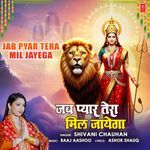 Jab Pyar Tera Mil Jayega