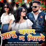 Janu Kaye Na Na Milbe