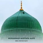 Muhammad Mustafa Aaye