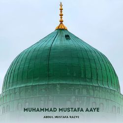 Muhammad Mustafa Aaye
