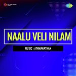 Naalu Veli Nilam