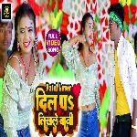 Patel Lover
