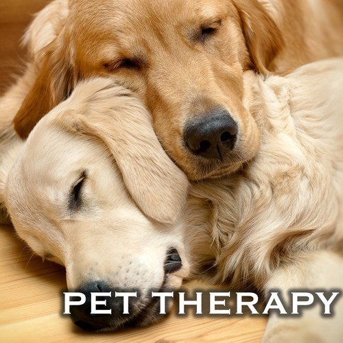 Pet Therapy - Relaxing Music for Dogs and Cats