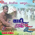 Sadhi Toji Ja Di Badha artwork