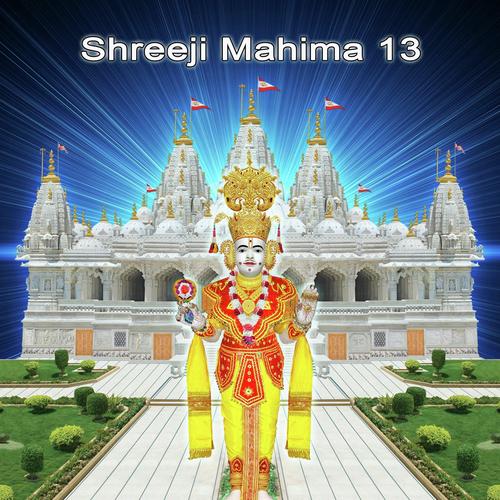 Shreeji Mahima 13