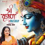 Shri Krishna Mashup