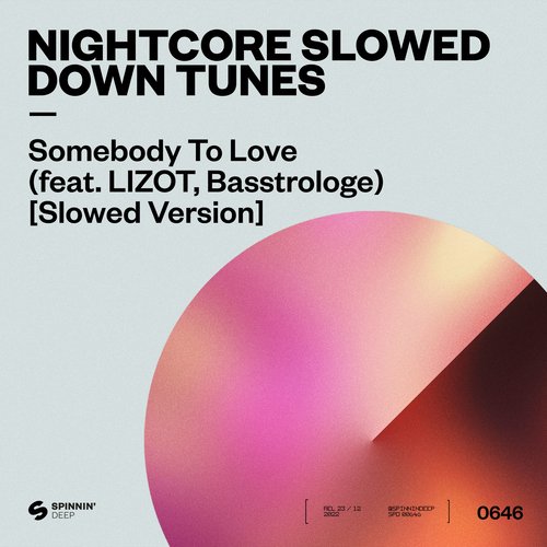 Somebody To Love (feat. LIZOT, Basstrologe) [Slowed Version] cover art