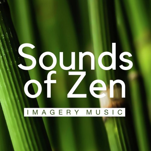 Qi Gong Academy cover art