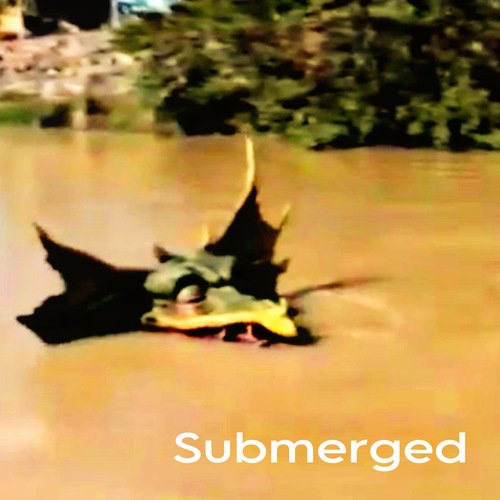 Submerged