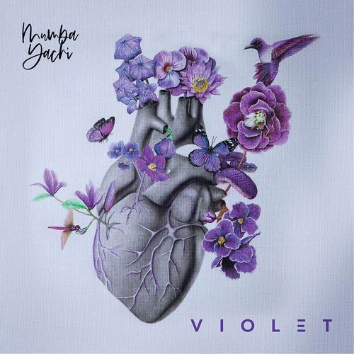 VIOLET