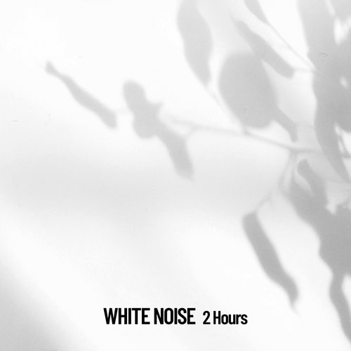 White Noise: 2 Hours,Reset your mind_poster_image