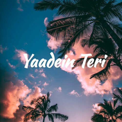 Yaadein Teri _poster_image