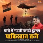 Yaari Me Gaddari Kardi Dushman Pakistan Tane