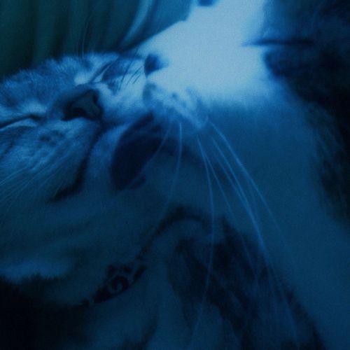 paper moon (Slowed)