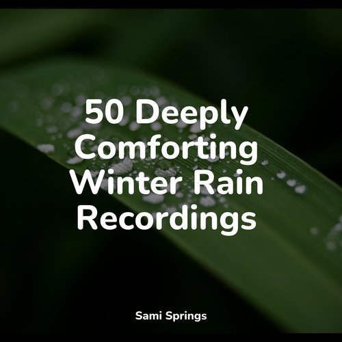 50 Deeply Comforting Winter Rain Recordings_poster_image