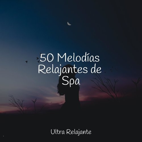 50 Melodías Relajantes de Spa