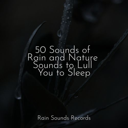 50 Sounds of Rain and Nature Sounds to Lull You to Sleep_poster_image