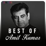 Ae Meri Awaz Ke Dosto (Amne Samne / Soundtrack Version)
