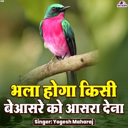 Bhala Hoga Kisi Beaasre Ko Aasra Dena