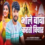 Bhole Baba Karto Vichar