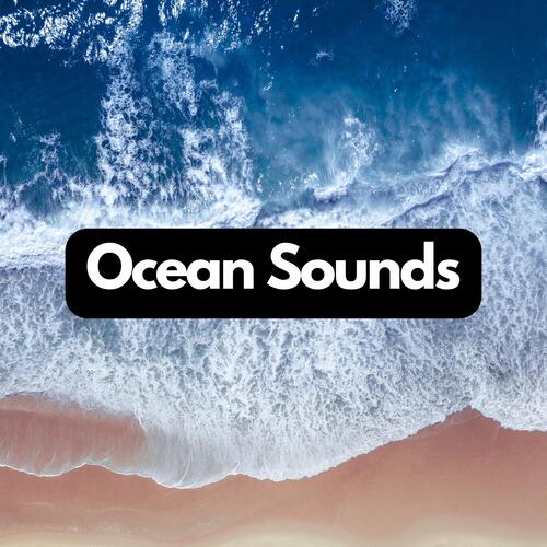 Coastal Echoes: Natural Wave Sounds