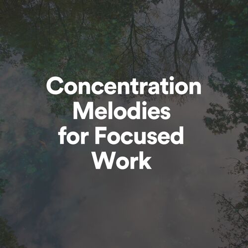 Concentration Melodies for Focused Work_poster_image