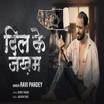 Dil Ke Jakham