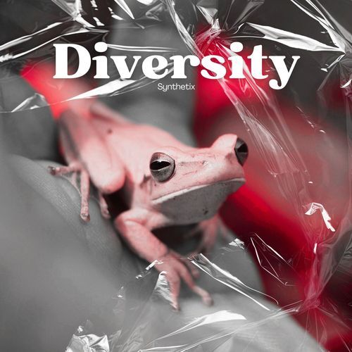 Diversity (radio edit)