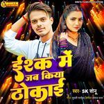 Ishk Me Jab Kiya Thokai