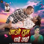Jao Tum Chahe Jaha