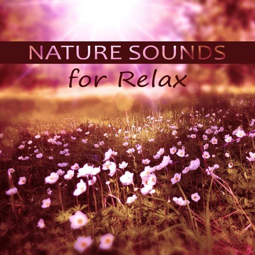 Nature Sounds for Relax – Deep Music for Meditation, Calm Music for Relaxation, Nature Sounds, Inspiring Piano Music