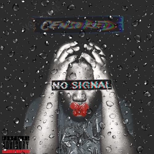 No Signal