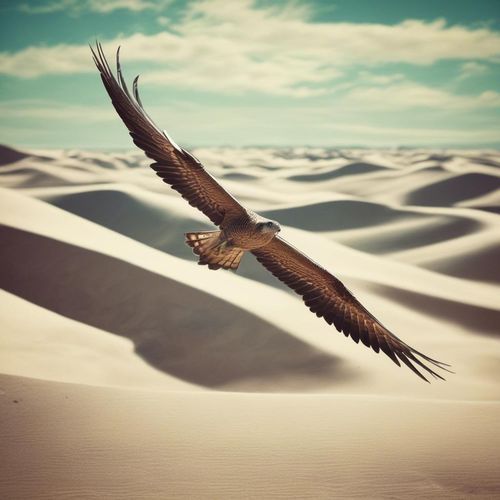تركيب عربي