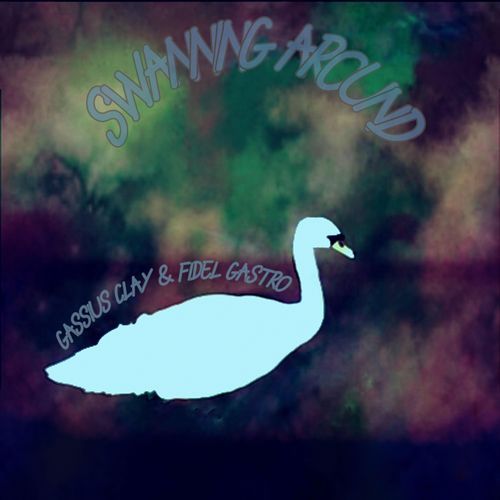 Swanning Around cover art