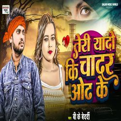 Teri Yaadon Ki Chadar Odhe