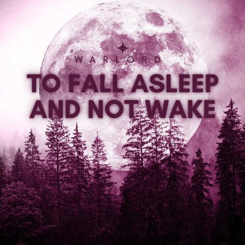 To Fall Asleep and Not Wake_poster_image