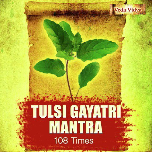 Tulsi Gayatri Mantra (108 Times)