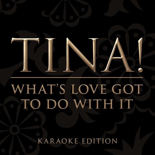 What's Love Got to Do with It (Karaoke Version)