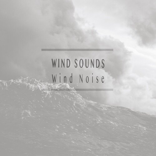 Wind Noise_poster_image