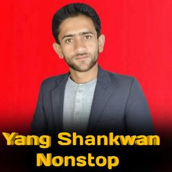 Yang Shankwan Nonstop-Iy9ZcwZWRnY