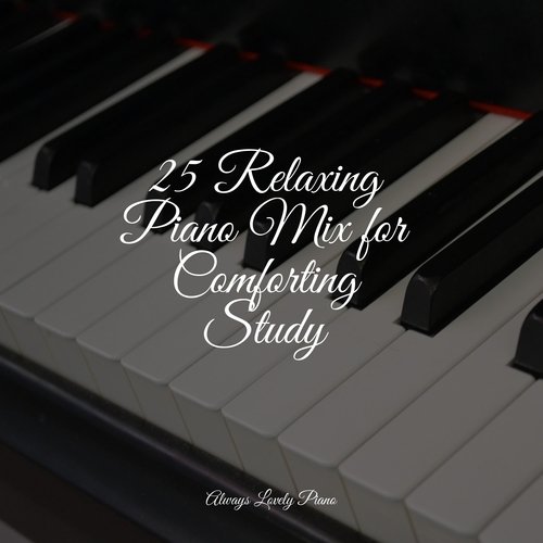 25 Relaxing Piano Mix for Comforting Study