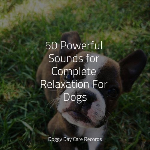 50 Powerful Sounds for Complete Relaxation For Dogs