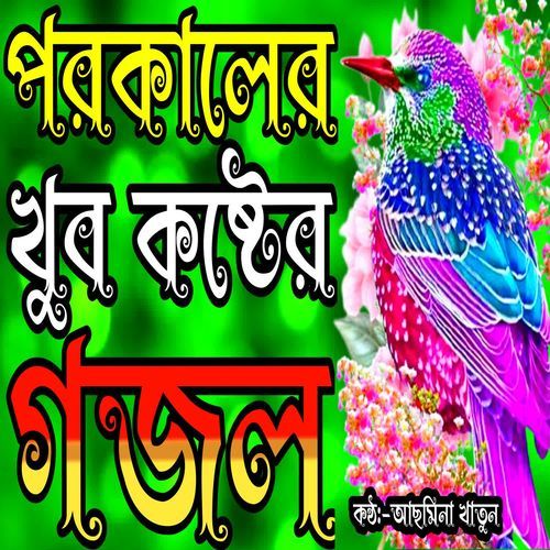 Ador Koira Allah Tumi Manush Banaiya