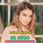 Aslam Singer SR 5500