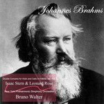 Double Concerto for Violin and Cello in A Minor, Op. 102: I. Allegro