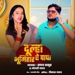 Dulha Rangdar Ye Papa