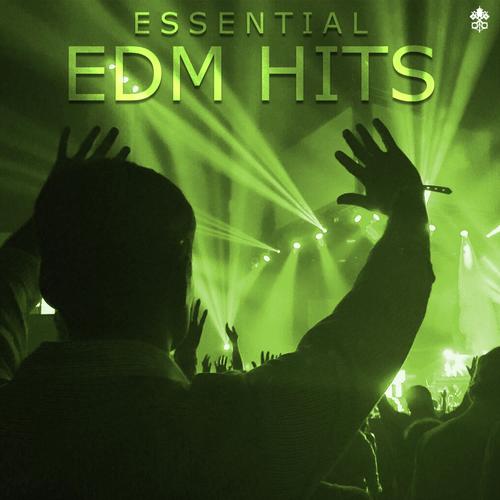 Essential EDM Hits_poster_image