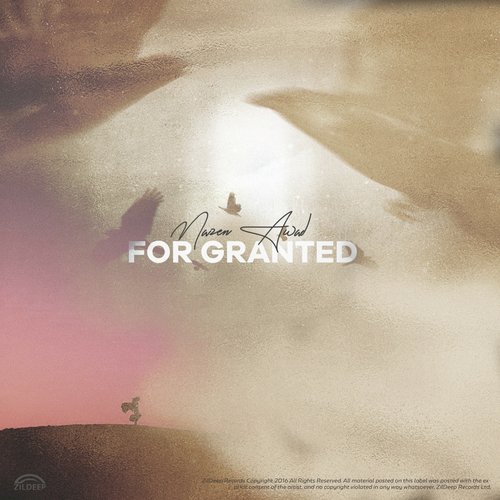 For Granted_poster_image