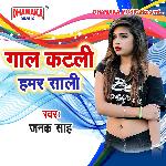 Gaal Katli Hamar Saali