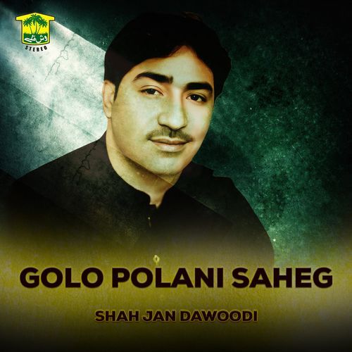 Salok Zeeshan cover art
